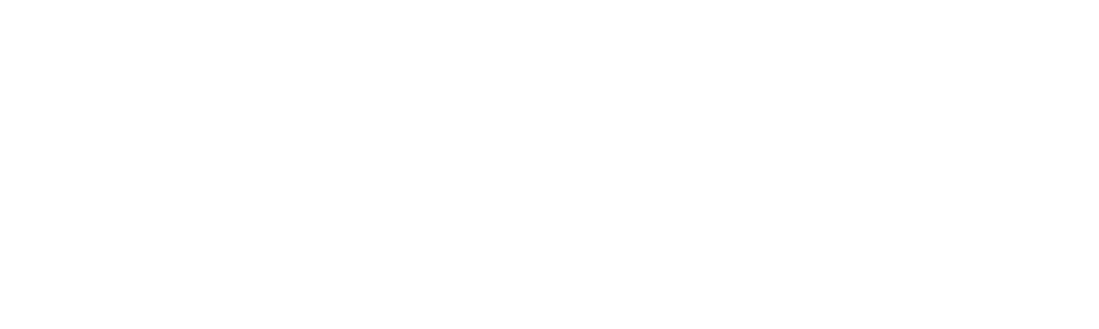 MArketing-Wolf-logo-white.png-2